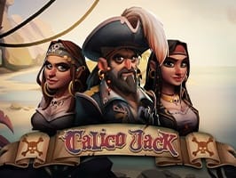 Calico Jack screenshot